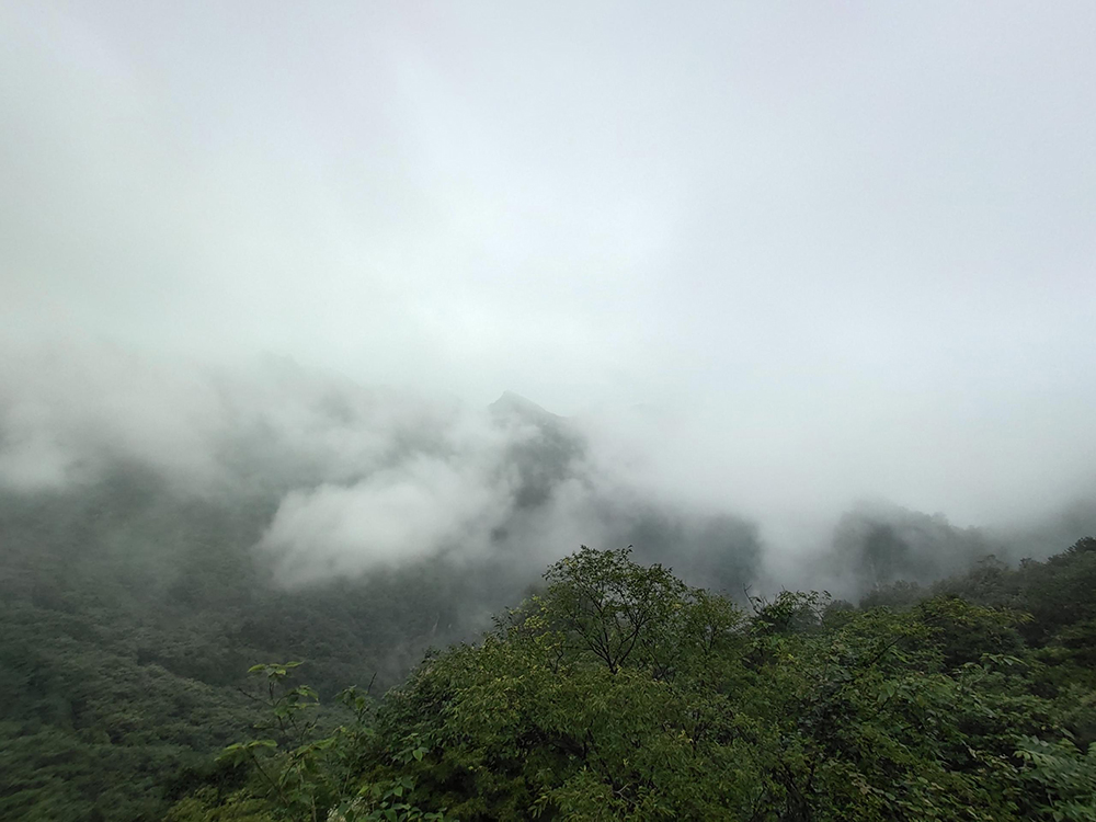 Technicians Wudang Mountain One-day Tour(图1)